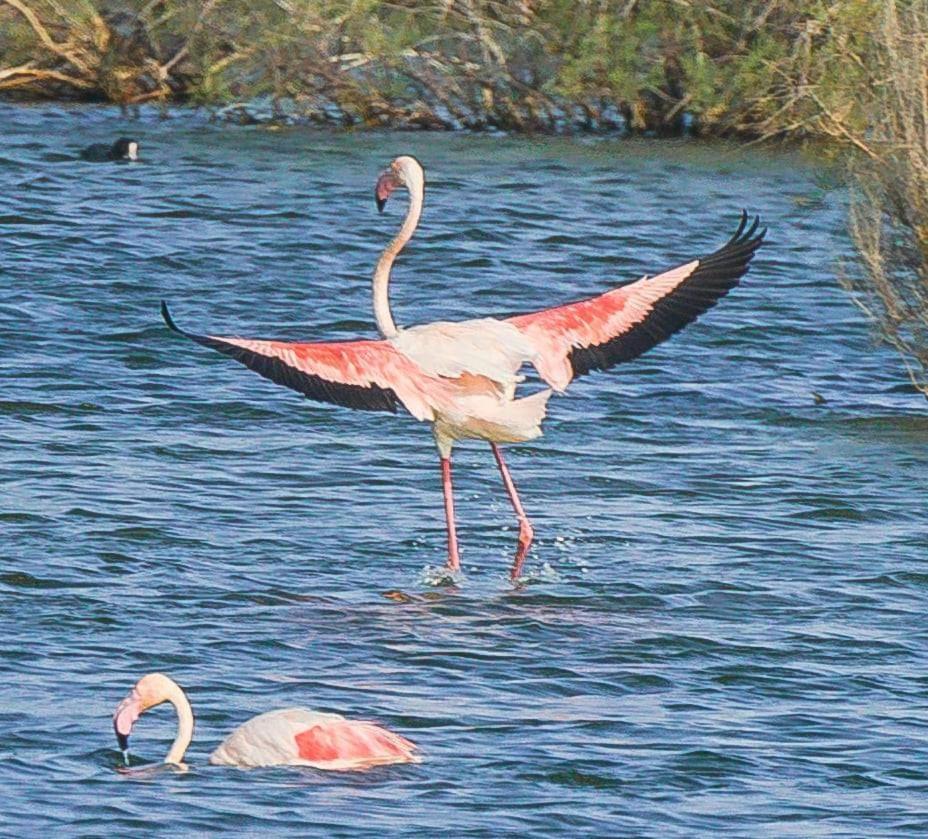 דירות Playas de Vera Rincon Del Salar מראה חיצוני תמונה